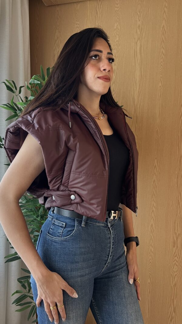 IMG_8928 Burgundy cropped short fit vest